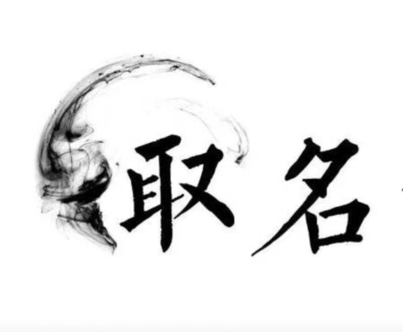  怀安宝宝取名 大师一对一人工起名