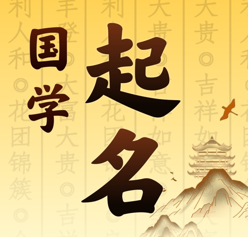怀安国学起名 人工起名一对一